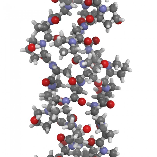 Chemical structure of Collagen.