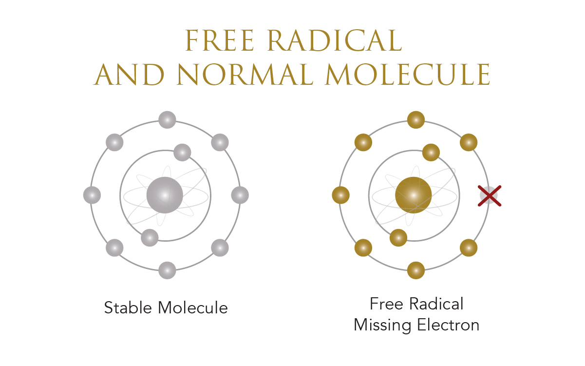 Infographic on free radical versus normal molecule