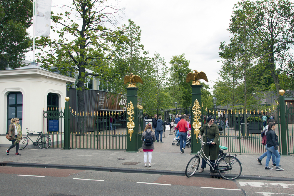 Amsterdam zoo