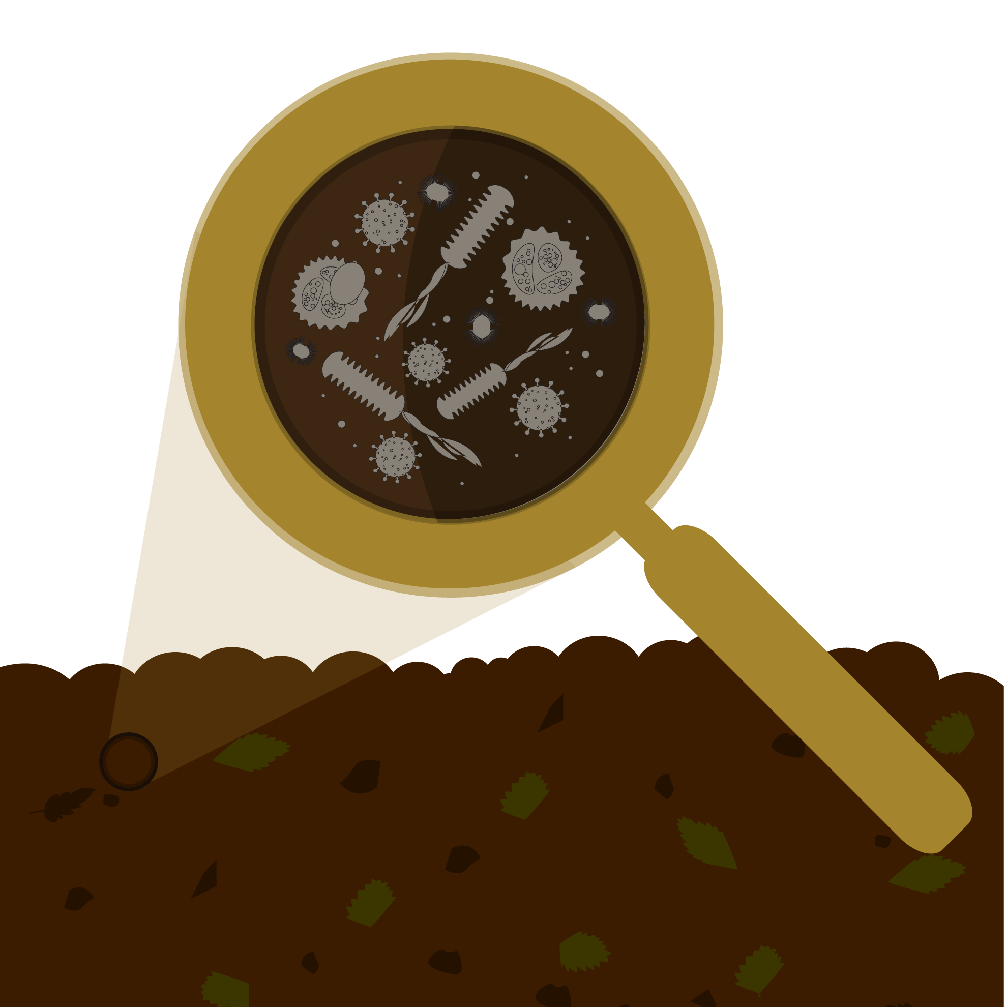 magnifying glass examining bacteria in dirt