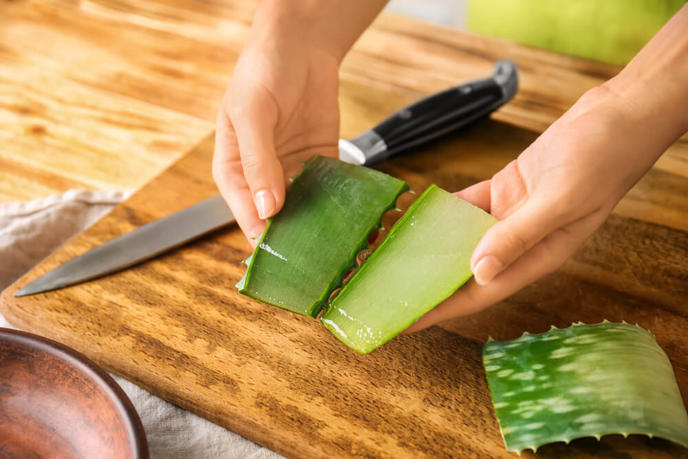 Slicing aloe vera stem with knife