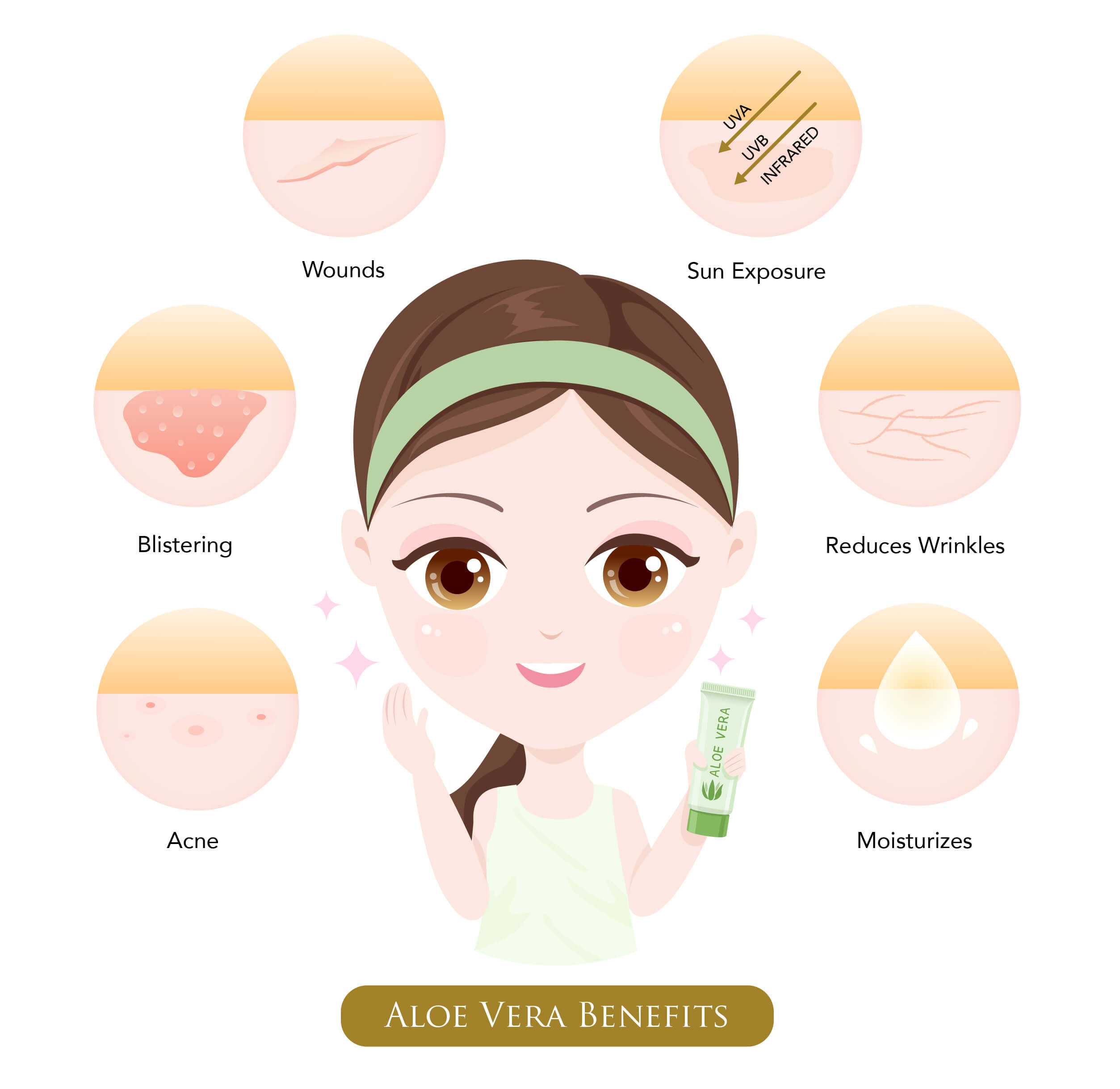 How To Apply Aloe Vera On Your Face Oro Gold School 6487