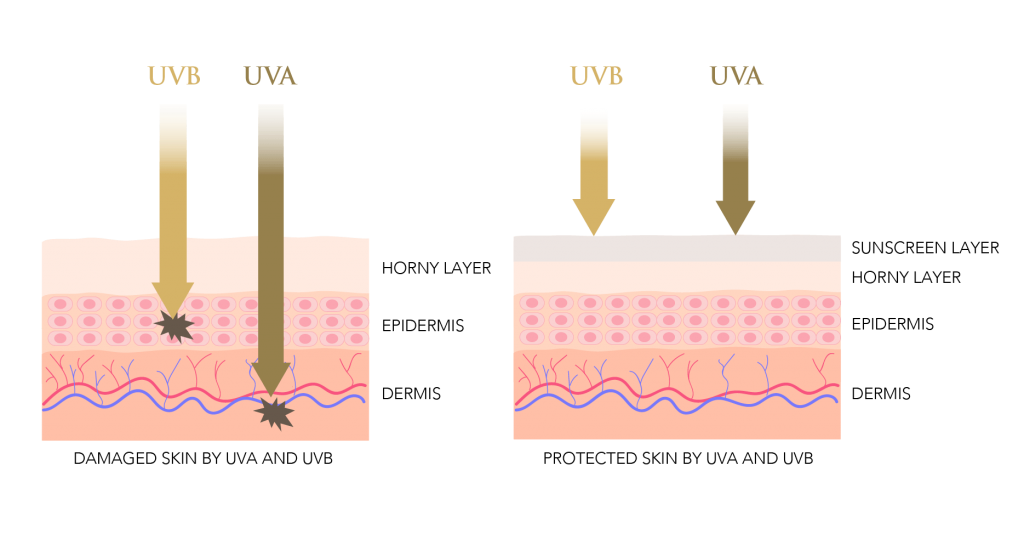 How to Care for the Skin Around Your Eyes - ORO GOLD School